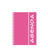 AGENDA ESCOLAR CAPA PLASTICA PERM.11X16 120PAG.RS
